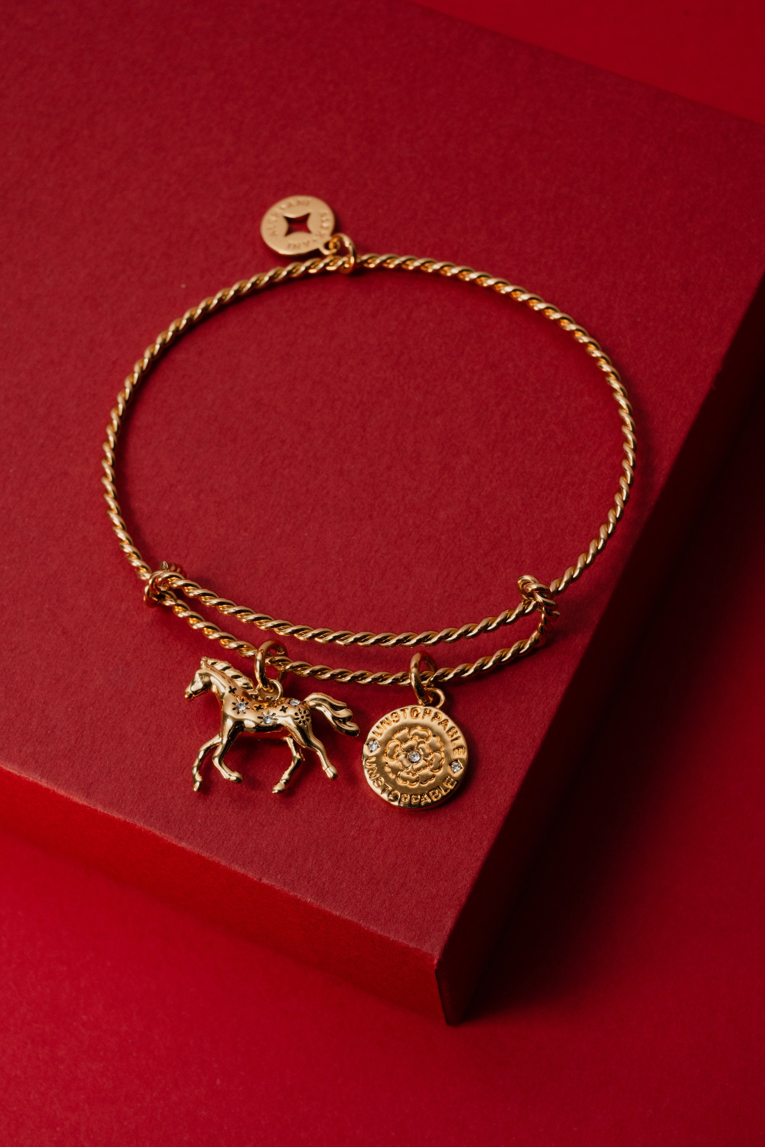 Horse Rope Textured Charm Bangle Gold | Alex and Ani