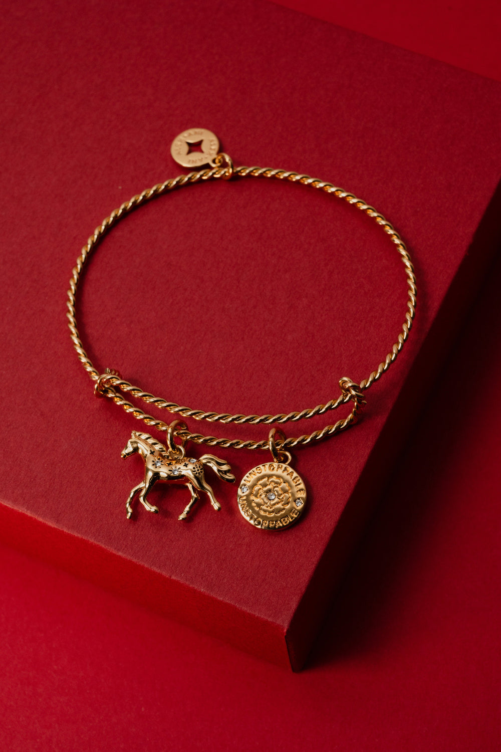 Horse Rope Textured Charm Bangle Gold | Alex and Ani