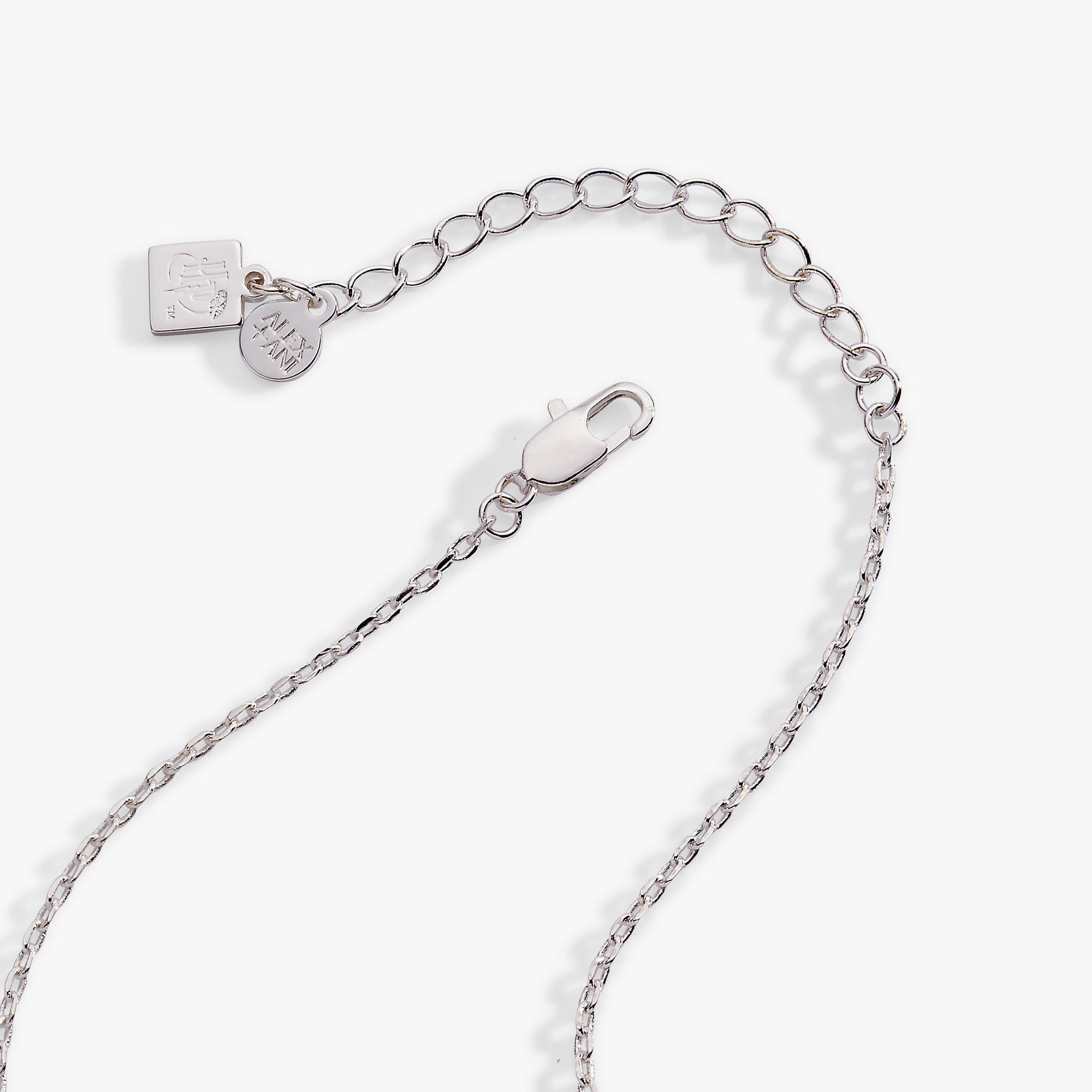 Harry Potter™ Love Potion Crystal Pendant Necklace Silver | Alex and Ani