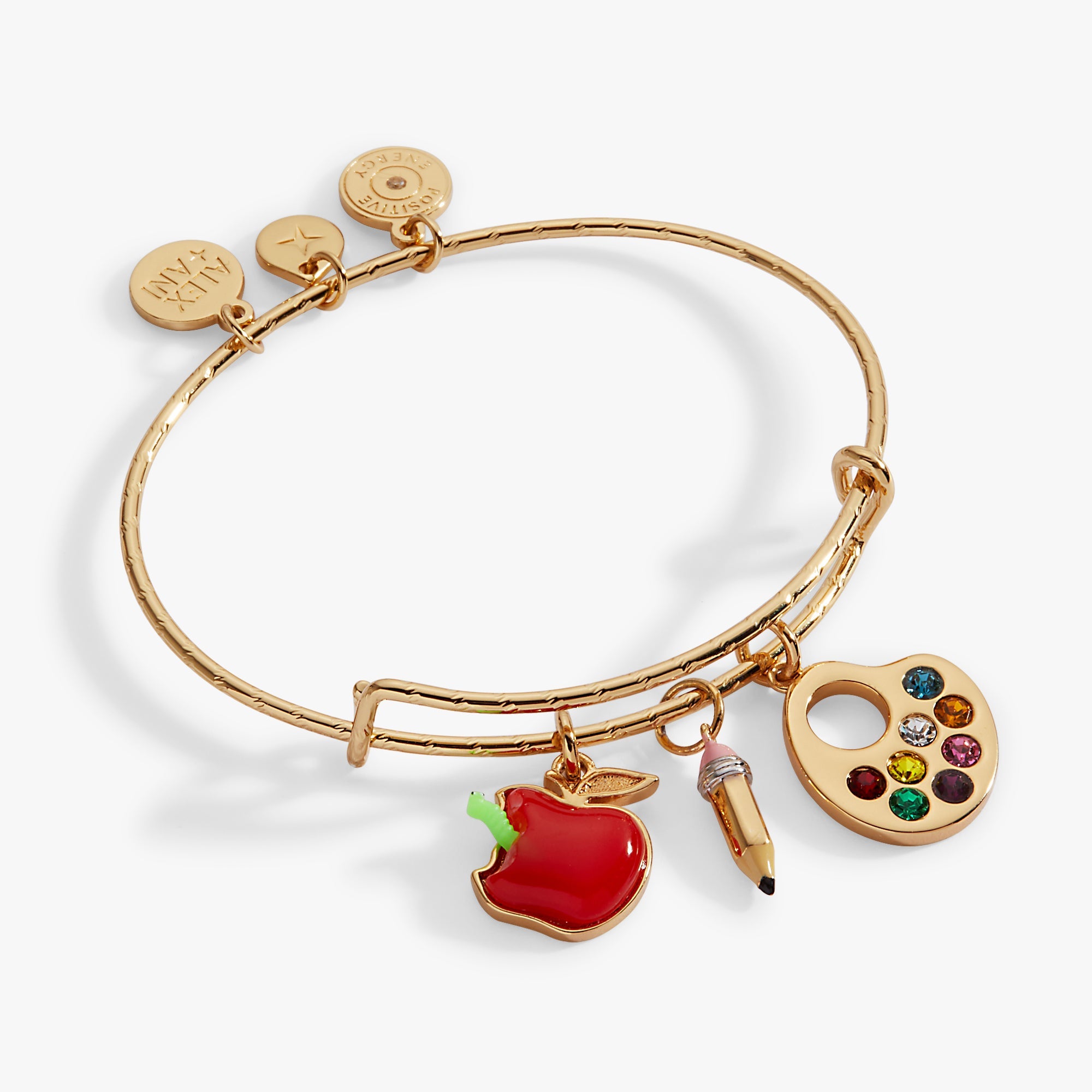 Teacher’s Pet Multi Charm Textured Bangle Gold | Alex and Ani