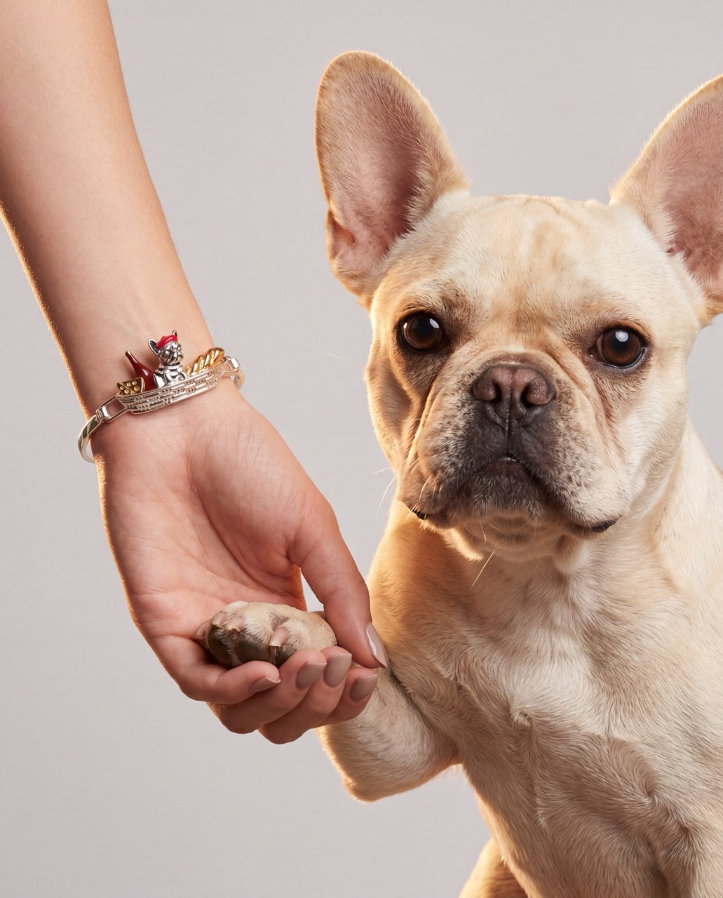 French Bulldog Tension Bangle Two Tone | Alex and Ani