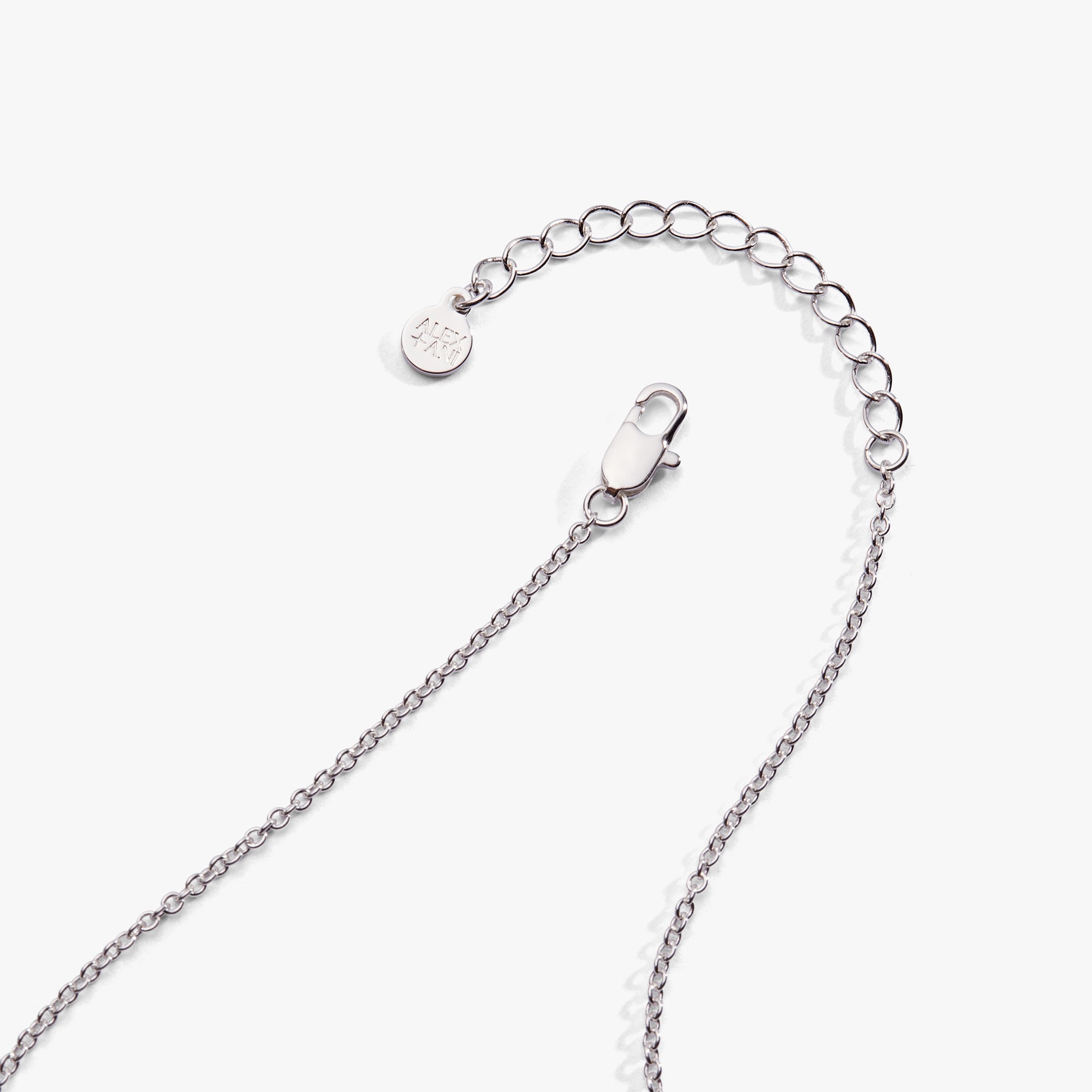 Watering Can Pendant Necklace Silver | Alex and Ani