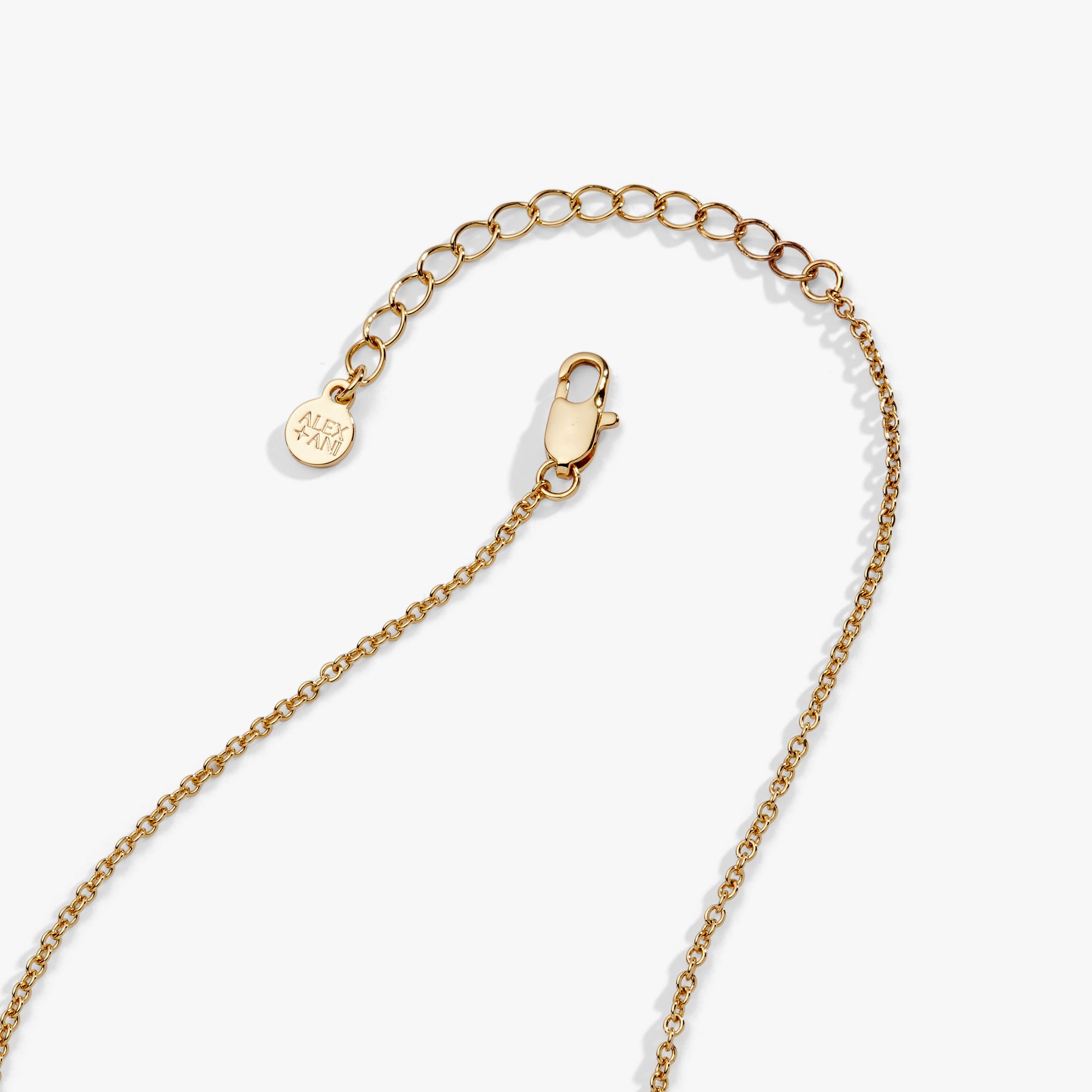 Pet Mom Nameplate Necklace Gold | Alex and Ani
