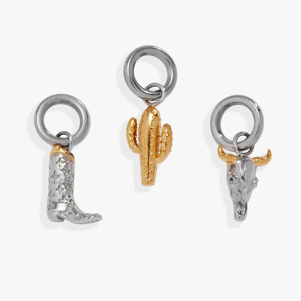 Desert Vacation Mini Charm Set Two Tone - Stainless Steel | Alex and Ani