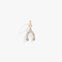 Pave Wishbone Interchangeable Charm​ Stainless Steel Silver | Alex and Ani