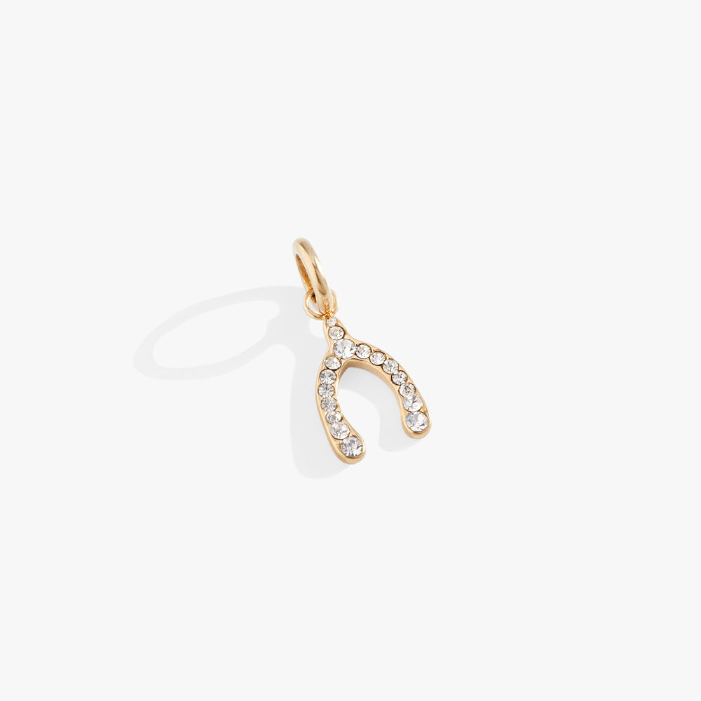Pave Wishbone Interchangeable Charm​ Stainless Steel Silver | Alex and Ani