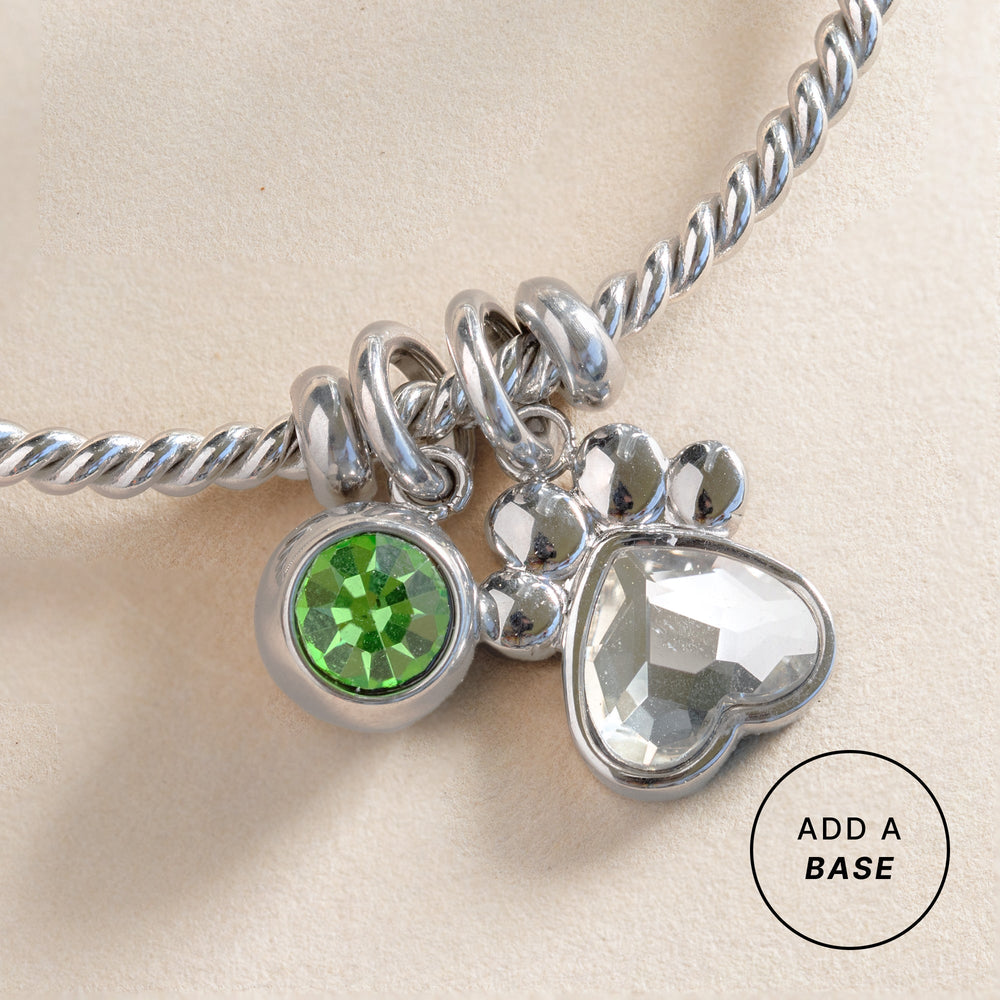 Crystal Paw Interchangeable Charm Stainless Steel Silver | Alex and Ani