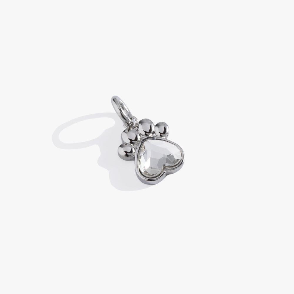 Crystal Paw Interchangeable Charm Stainless Steel Silver | Alex and Ani