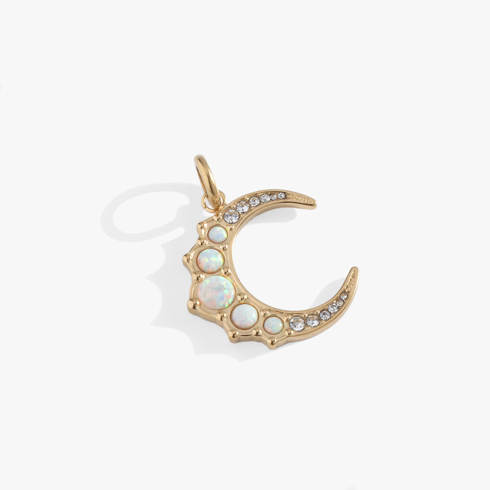Opal Moon Interchangeable Charm​ Stainless Steel Gold | Alex and Ani
