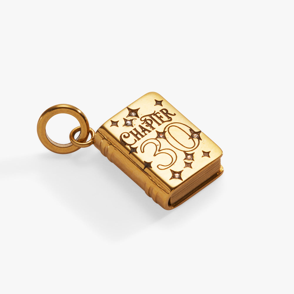 30th Chapter Book Charm Stainless  Steel Gold | Alex and Ani