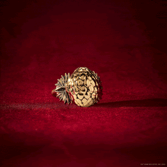 HOUSE OF THE DRAGON™ 'Fire Will Reign' Dragon Egg Locket Ring Gold | Alex and Ani