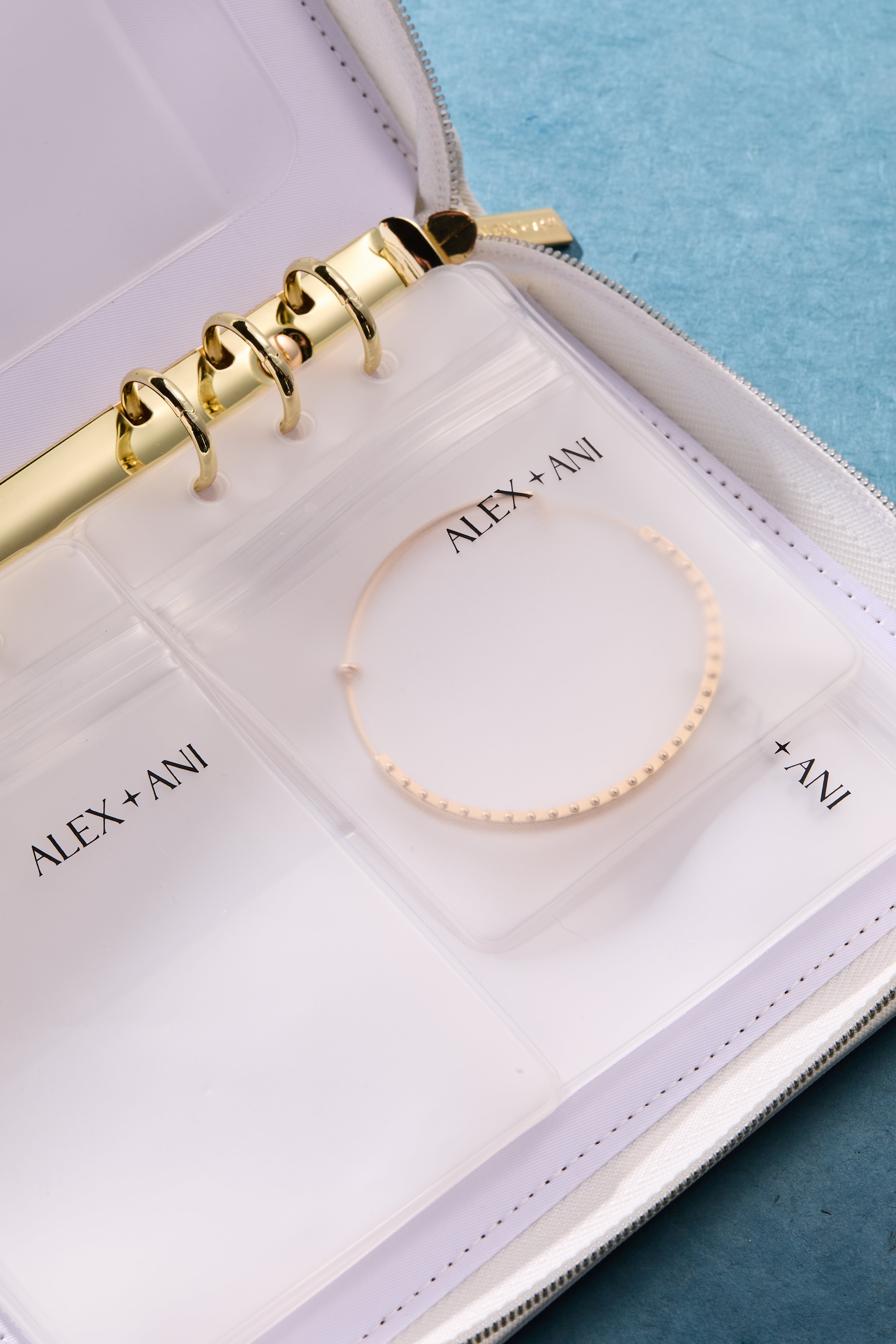 Alex and Ani Jewelry Binder  | Alex and Ani