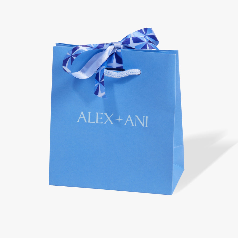Evergreen Gift Bag Classic Blue | Alex and Ani