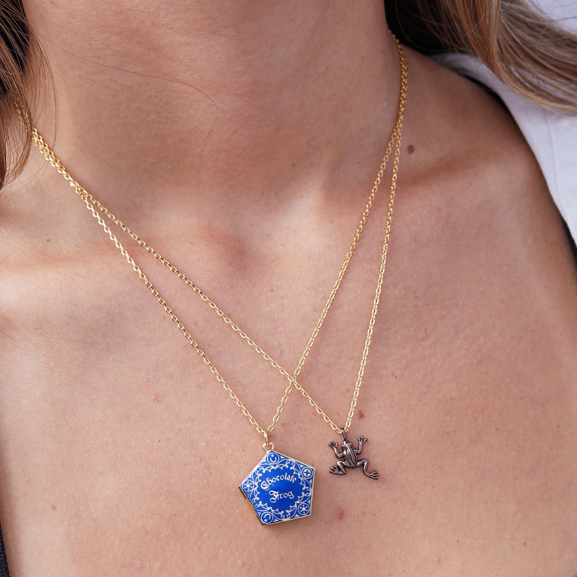 Harry Potter™ Chocolate Frog Necklace Set of 2 Two Tone | Alex and Ani