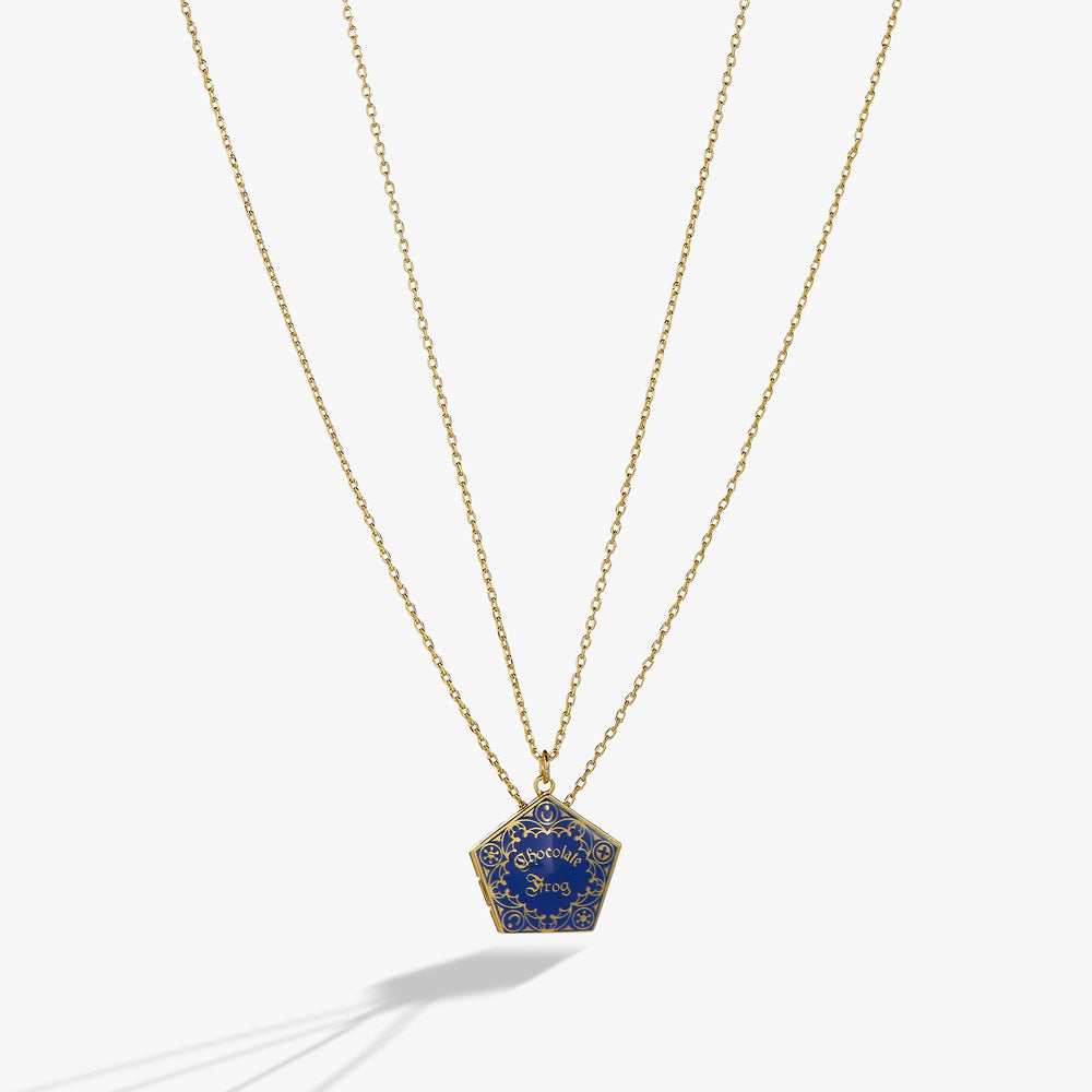 Harry Potter™ Chocolate Frog Necklace Set of 2 Two Tone | Alex and Ani
