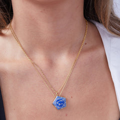 Harry Potter™ Chocolate Frog Necklace Set of 2 Two Tone | Alex and Ani