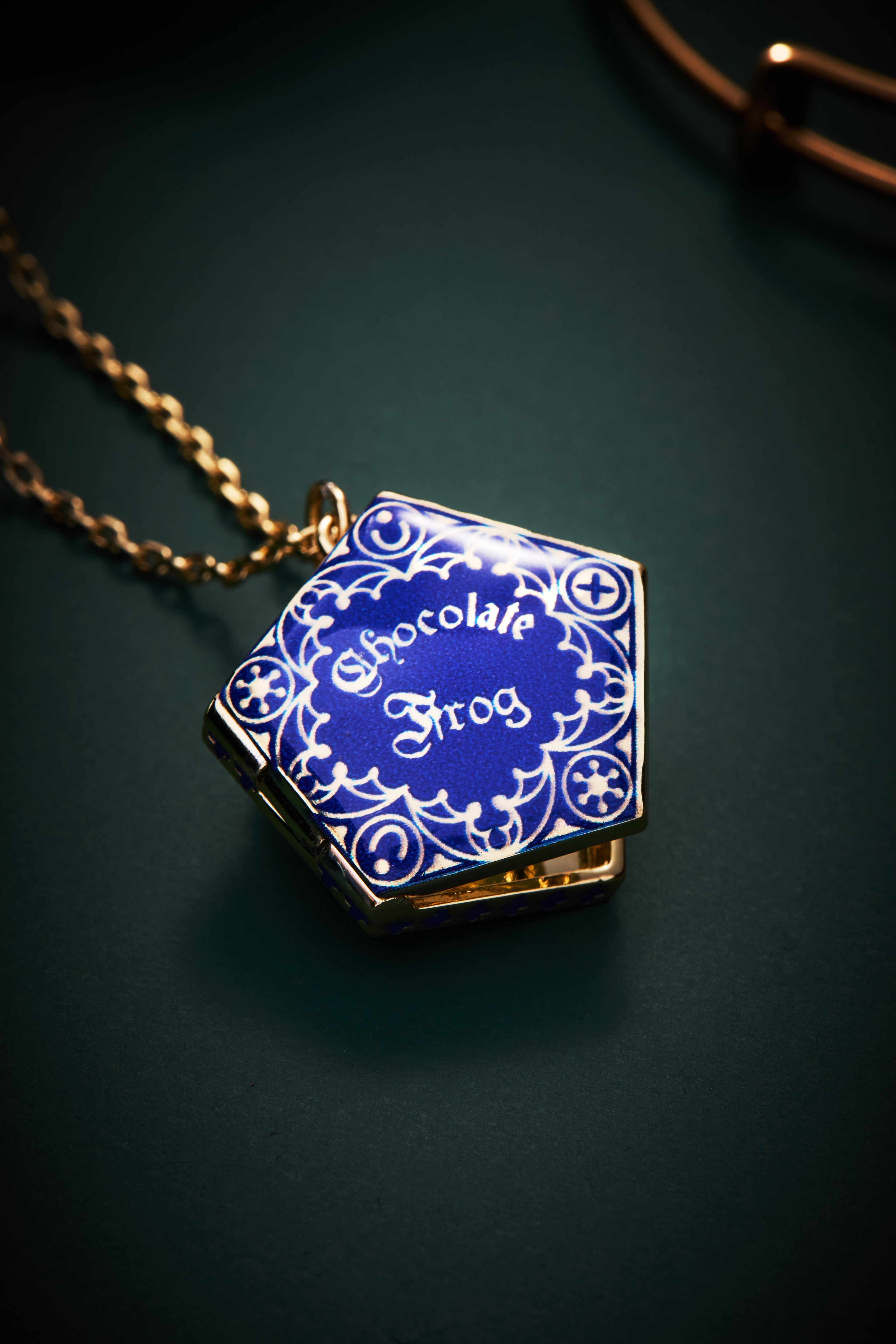 Harry Potter™ Chocolate Frog Necklace Set of 2 Two Tone | Alex and Ani