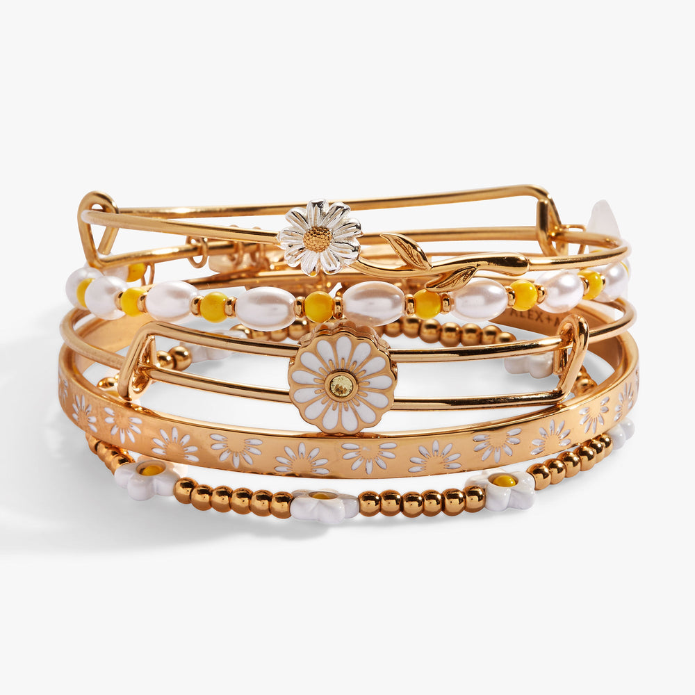 Daisy Bangle set of 5 Gold | Alex and Ani