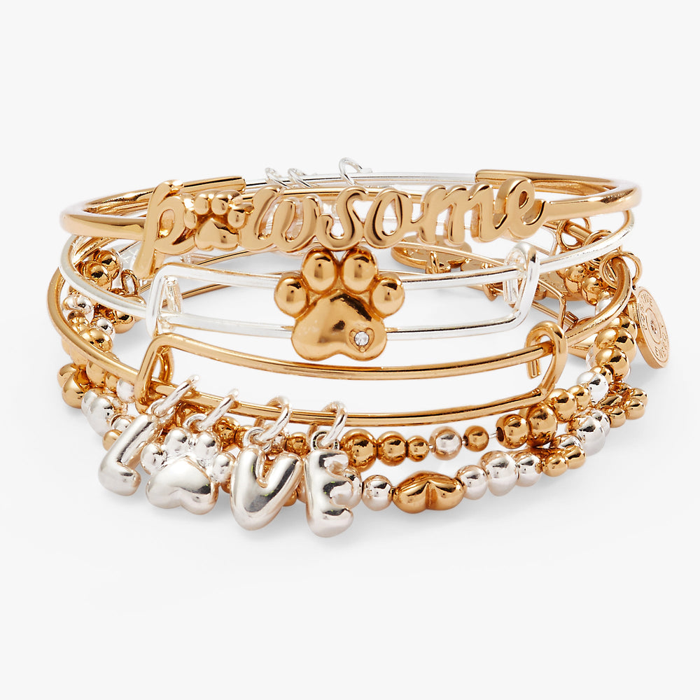 Puppy Love Bangles, Set of 5 Two Tone | Alex and Ani