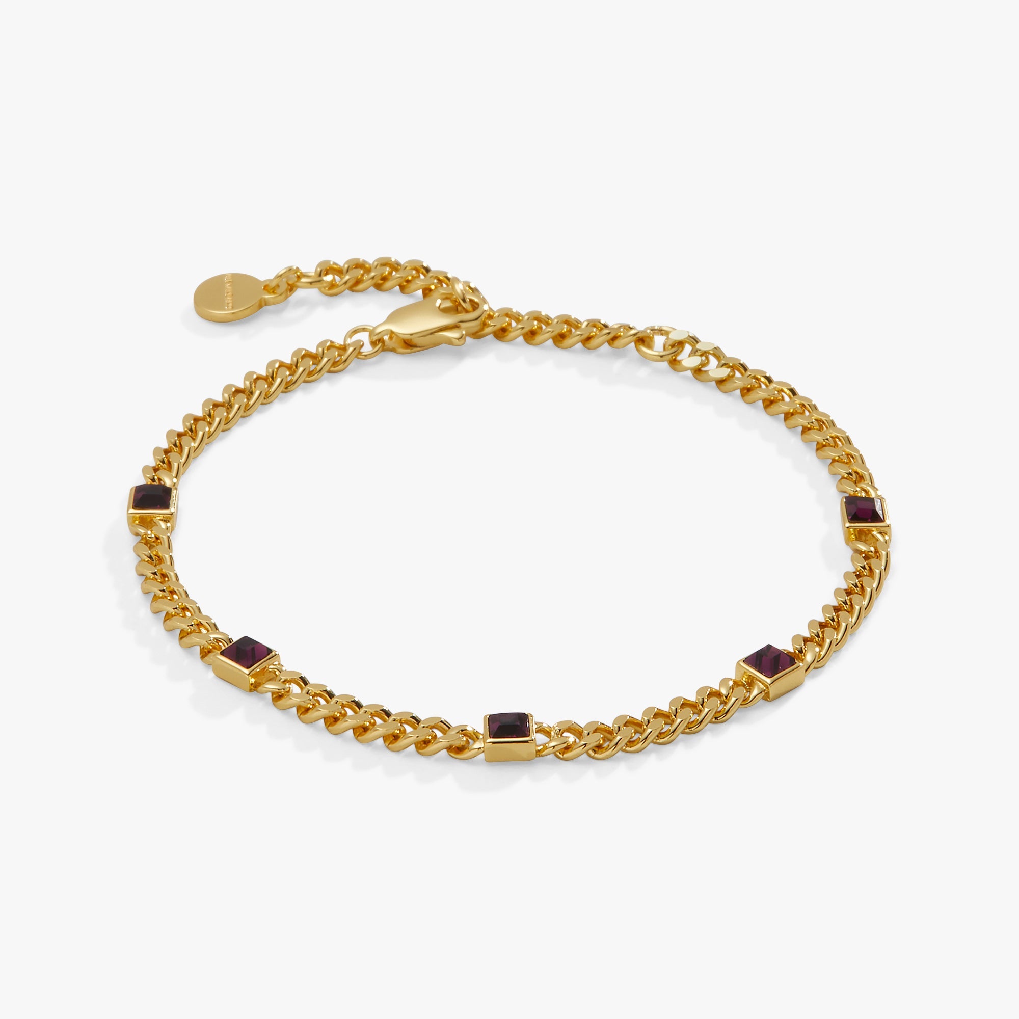 Amethyst Curb Chain Bracelet, February Birthstone Gold | Alex and Ani