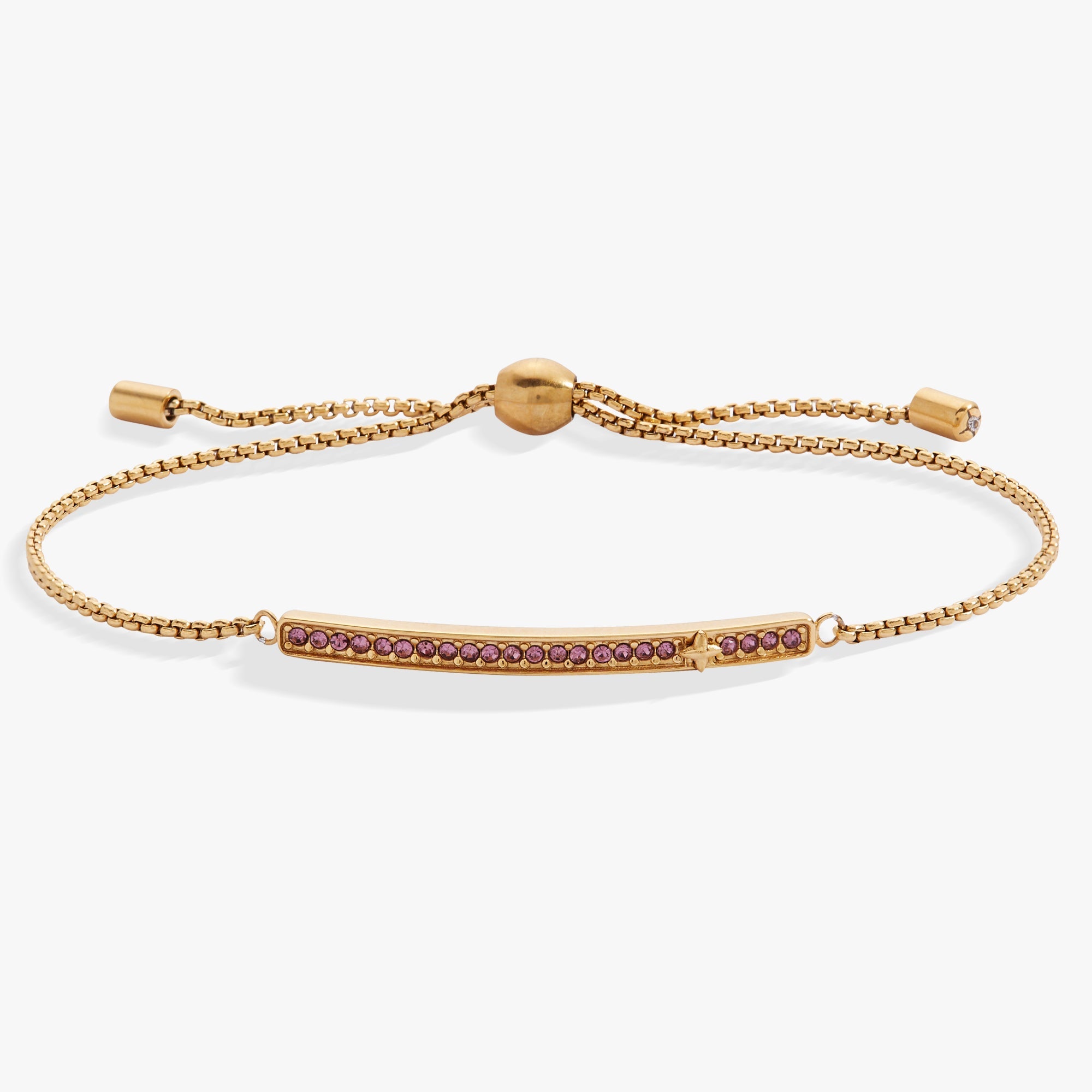 Birthstone Pave Bolo - June Stainless Steel Gold | Alex and Ani