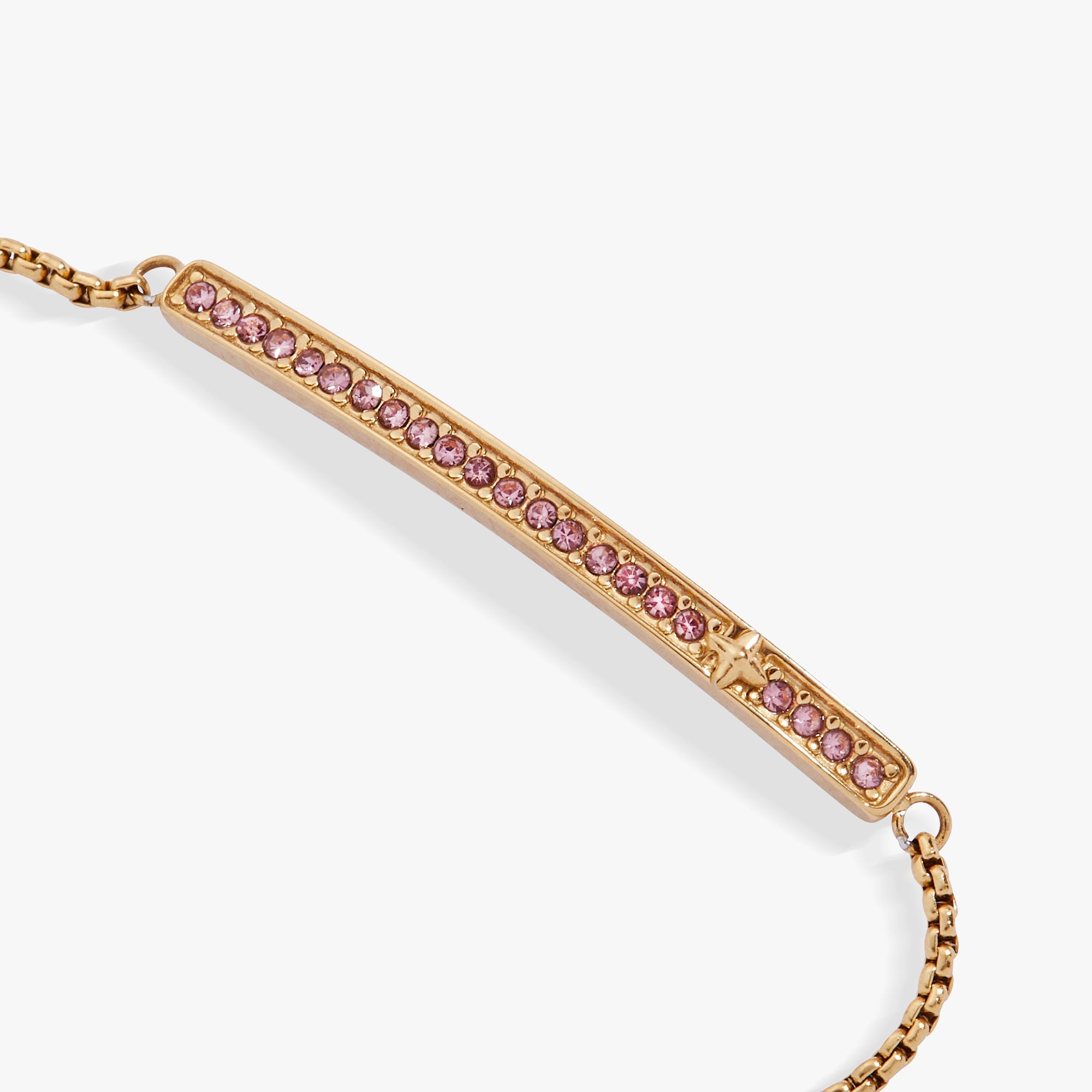Birthstone Pave Bolo - June Stainless Steel Gold | Alex and Ani
