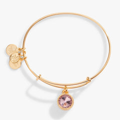 Light Amethyst June Birthstone Charm Bangle Silver | Alex and Ani