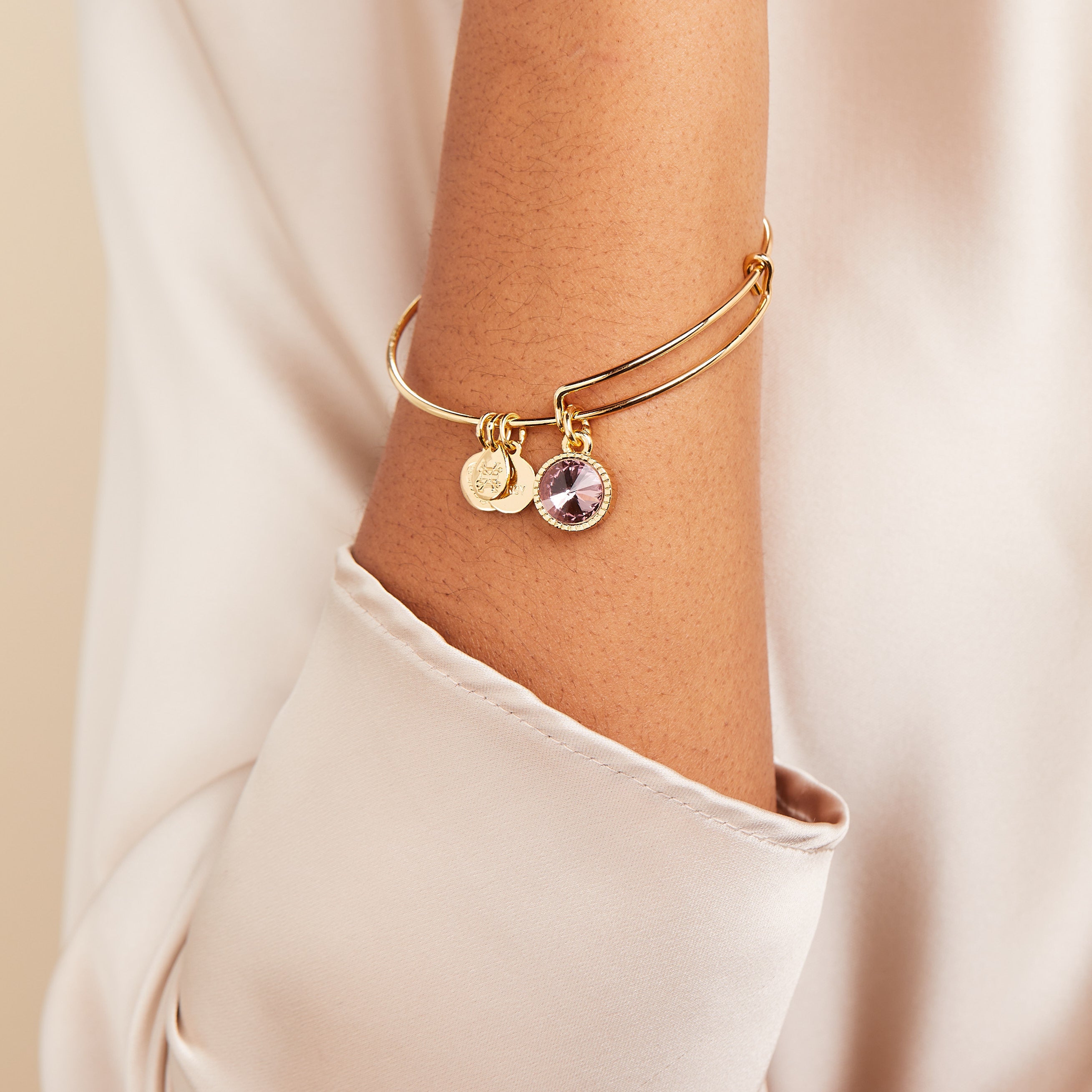 Light Amethyst June Birthstone Charm Bangle Silver | Alex and Ani