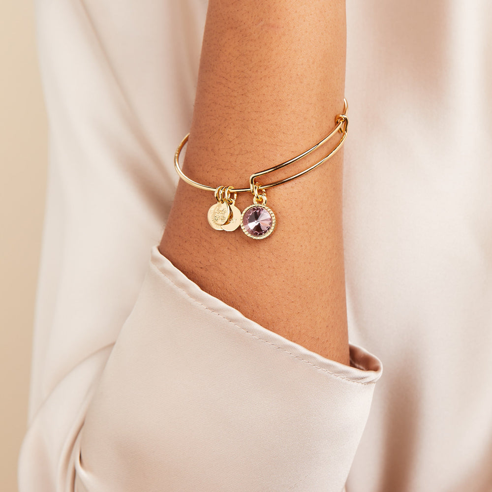 Light Amethyst June Birthstone Charm Bangle Silver | Alex and Ani