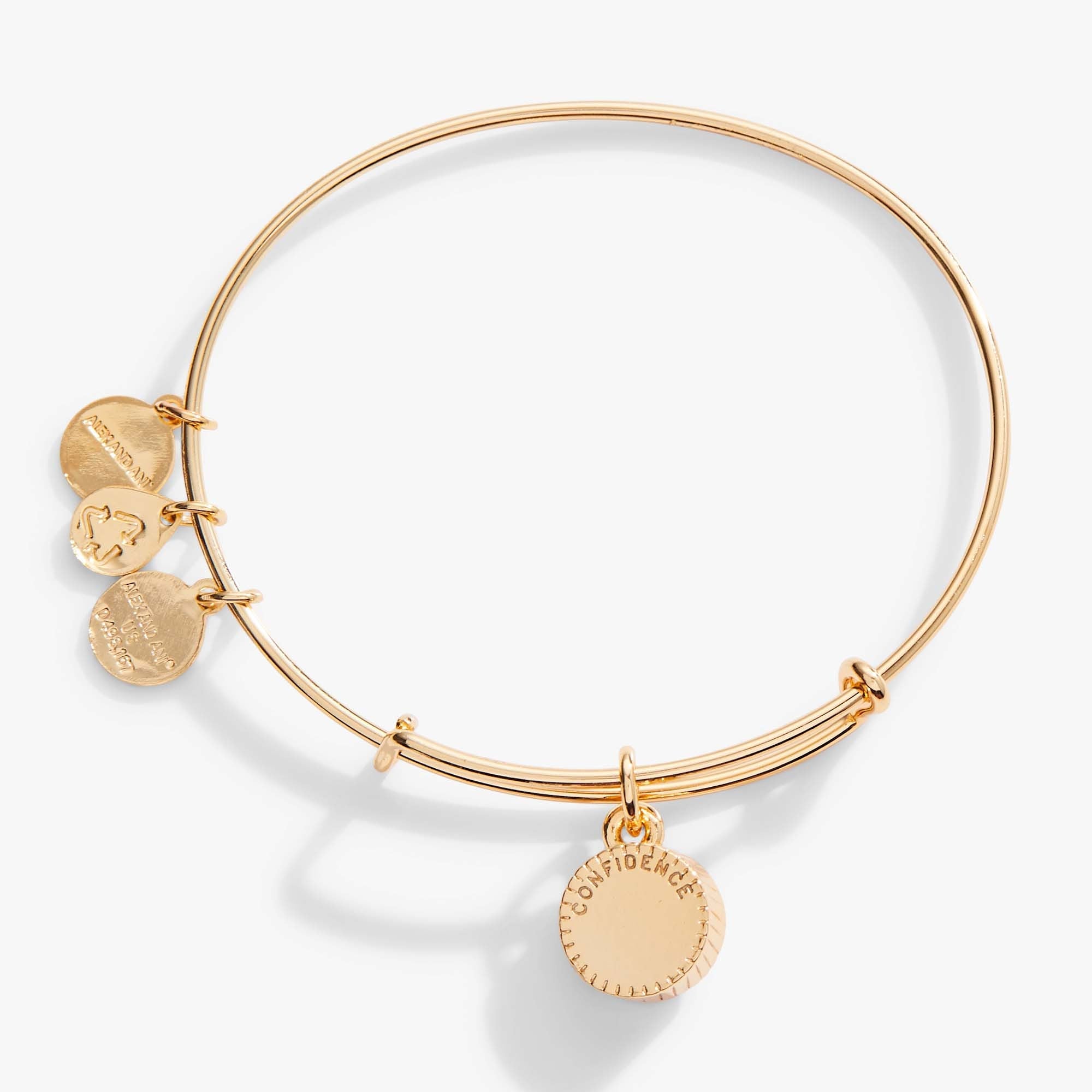Light Amethyst June Birthstone Charm Bangle Silver | Alex and Ani