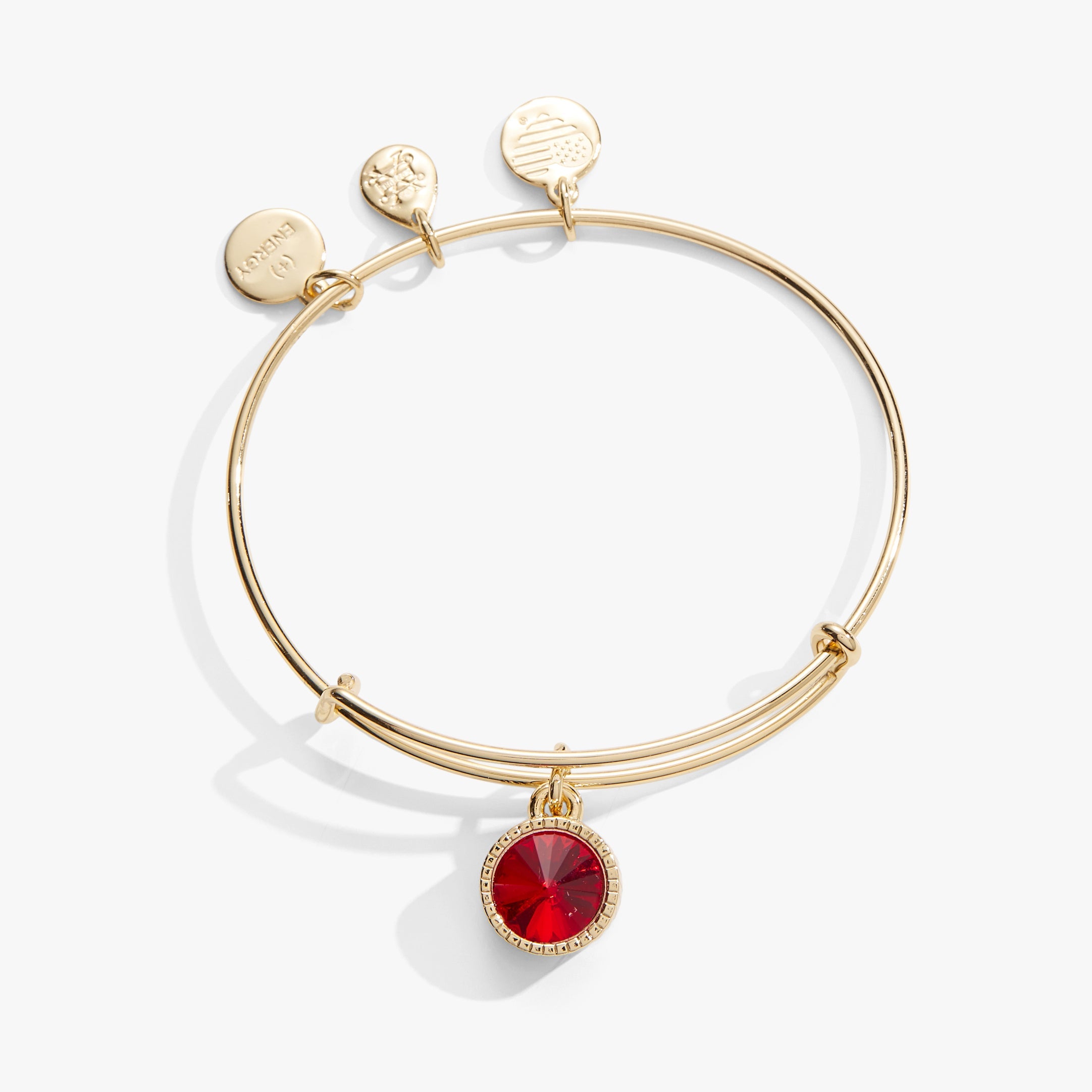 Ruby July Birthstone Charm Bangle Silver | Alex and Ani