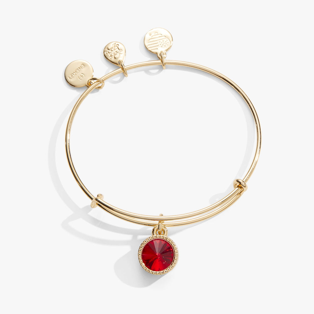 Ruby July Birthstone Charm Bangle Silver | Alex and Ani