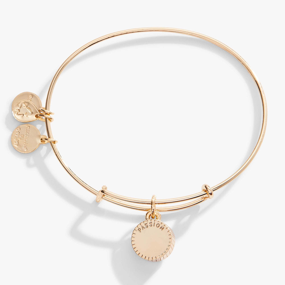 Ruby July Birthstone Charm Bangle Silver | Alex and Ani