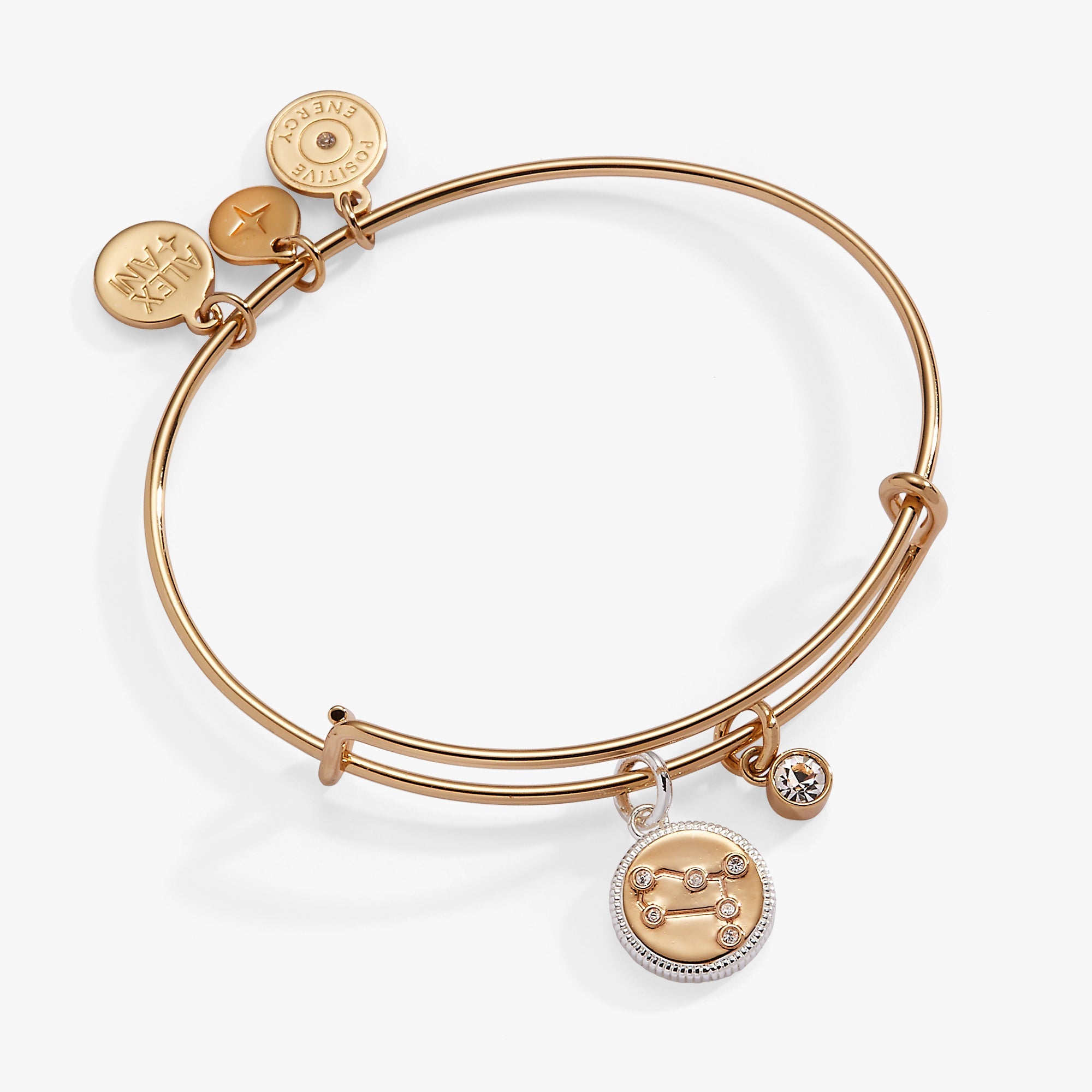 Gemini Zodiac Charm Bangle Two Tone | Alex and Ani