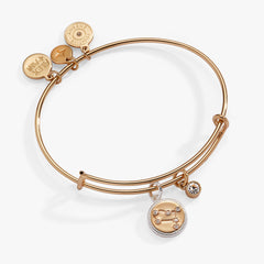 Gemini Zodiac Charm Bangle Two Tone | Alex and Ani