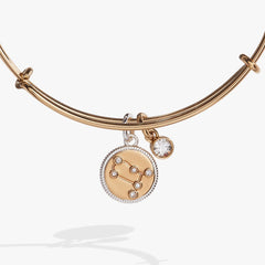 Gemini Zodiac Charm Bangle Two Tone | Alex and Ani