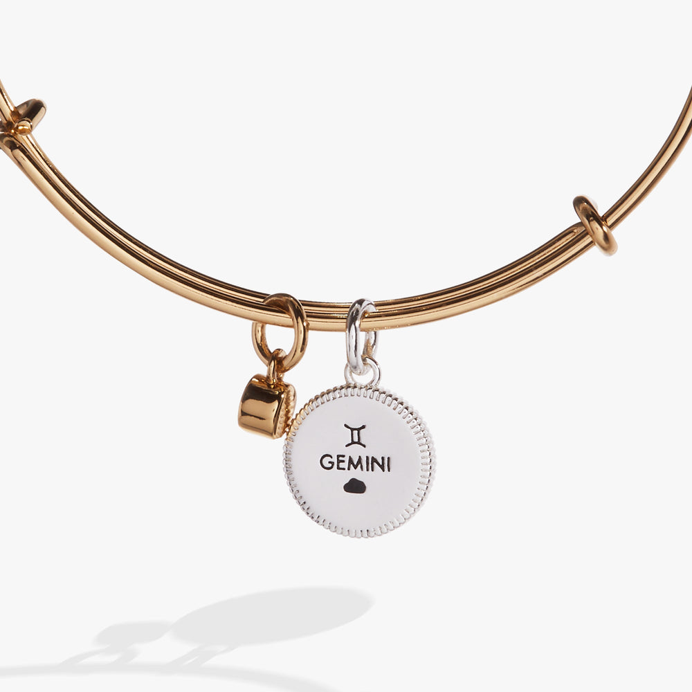 Gemini Zodiac Charm Bangle Two Tone | Alex and Ani