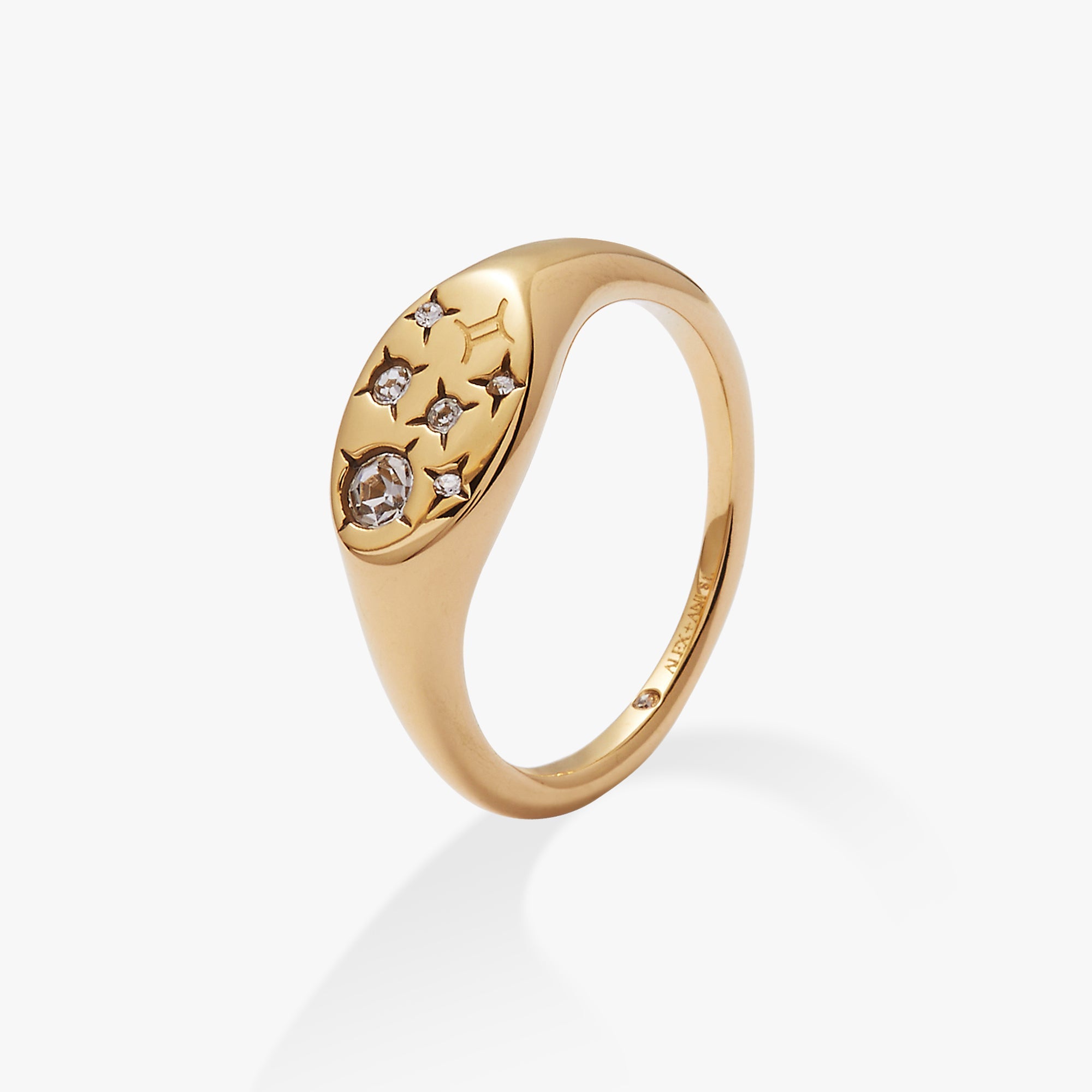 Gemini Zodiac Ring Stainless Steel Gold | Alex and Ani