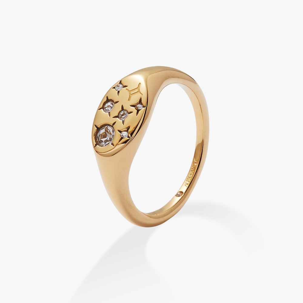 Gemini Zodiac Ring Stainless Steel Gold | Alex and Ani