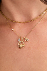 Cancer Charm Cluster Necklace Stainless Steel Gold | Alex and Ani