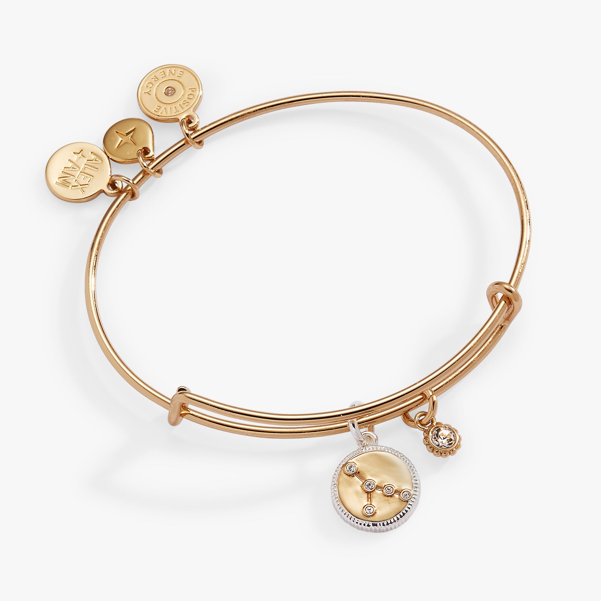Cancer Zodiac Charm Bangle Two Tone | Alex and Ani