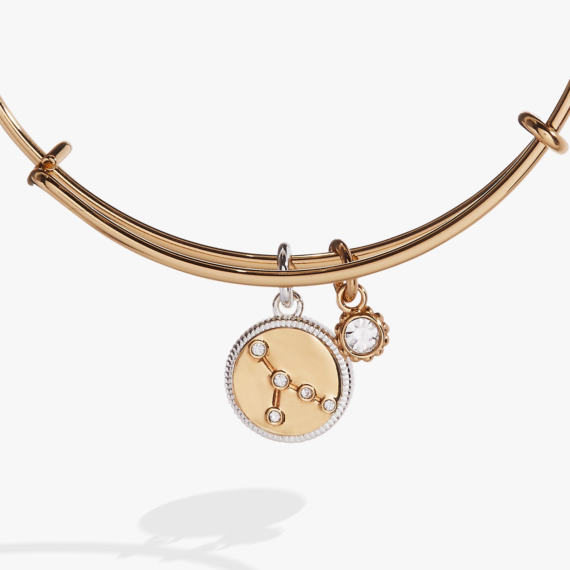 Cancer Zodiac Charm Bangle Two Tone | Alex and Ani