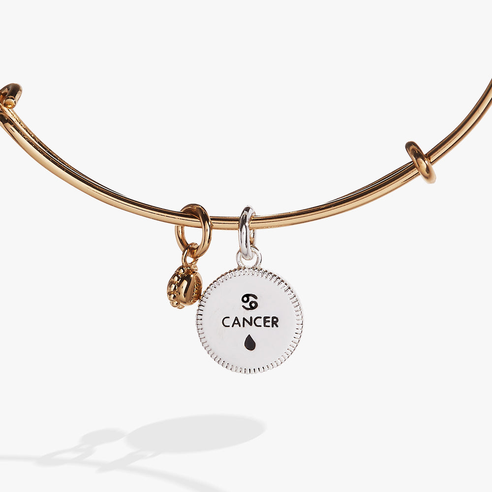 Cancer Zodiac Charm Bangle Two Tone | Alex and Ani
