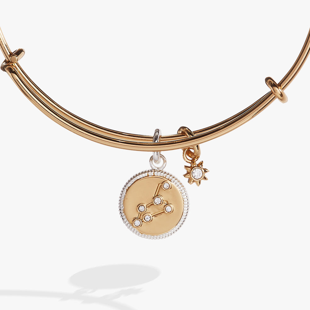 Leo Zodiac Charm Bangle Two Tone | Alex and Ani