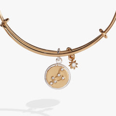 Leo Zodiac Charm Bangle Two Tone | Alex and Ani