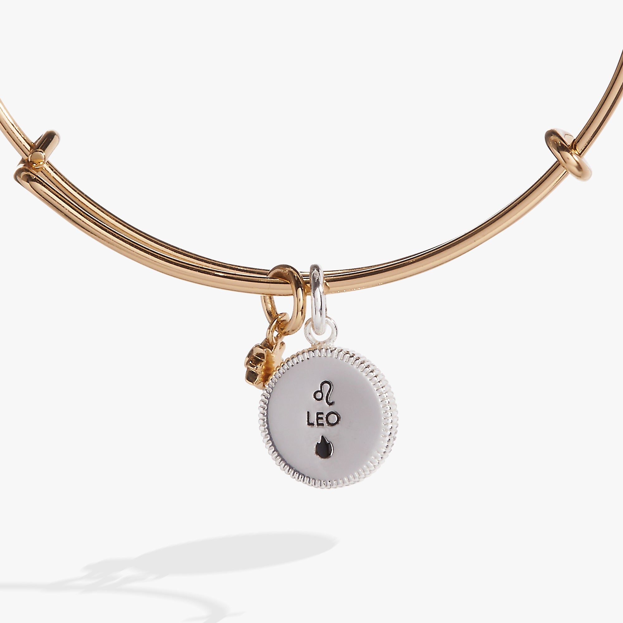 Leo Zodiac Charm Bangle Two Tone | Alex and Ani