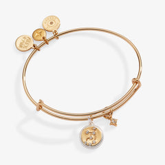 Virgo Zodiac Charm Bangle Two Tone | Alex and Ani