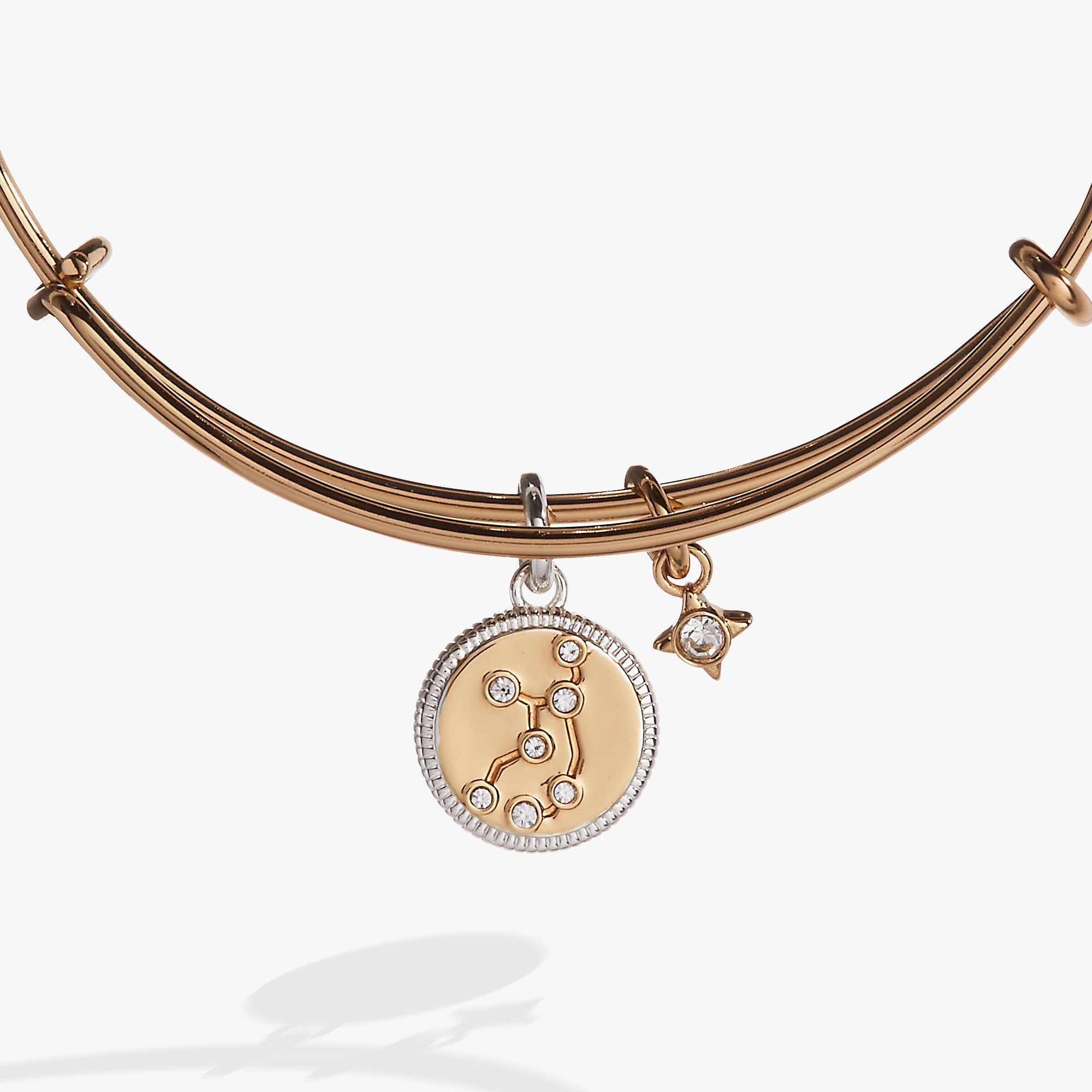 Virgo Zodiac Charm Bangle Two Tone | Alex and Ani