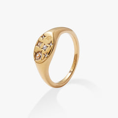 Virgo Zodiac Ring Stainless Steel Gold | Alex and Ani
