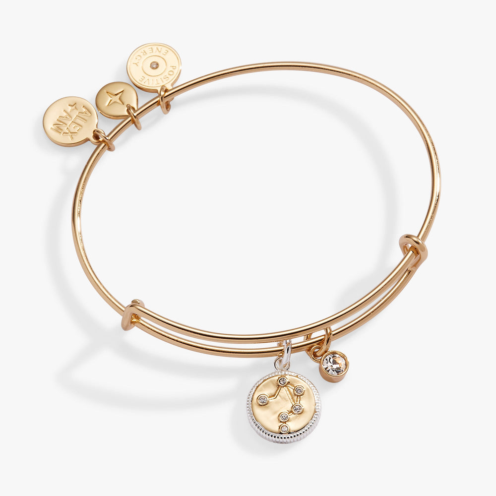 Libra Zodiac Charm Bangle Two Tone | Alex and Ani